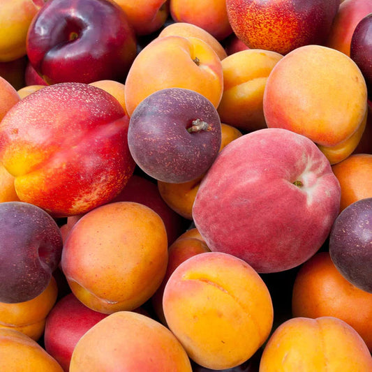 Fruit Cocktail A Veritable Farmer's Market In One Tree Ships